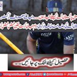 The world's leading cricketer expressed the willingness to come to Pakistan,