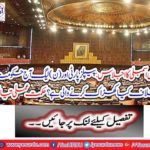 The meeting of the National Assembly: What is the PPP and the N (PPP) leadership to do against the government today?  