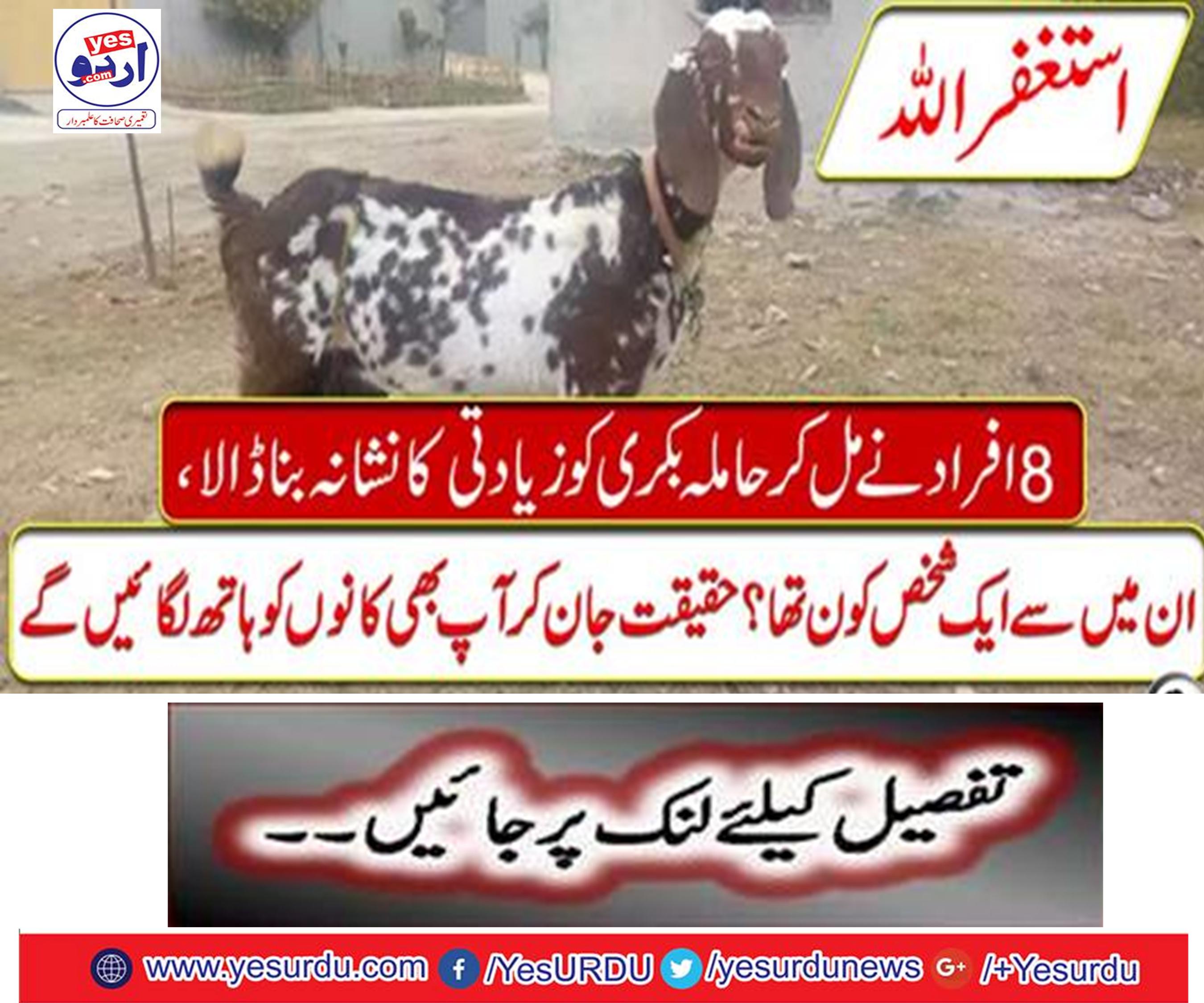 8 people targeted abusive goats together