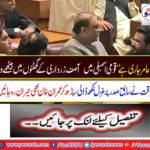 Aamir Liaqat's words on Asif Ali Zardari,