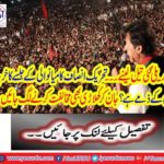 What is the responsibility of the movement of Manaali justice?