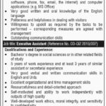 GIZ Pakistan Jobs 2019 for Executive Assistant and Receptionist