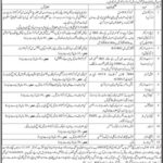 Sindh Planning & Development Department Jobs 2019 for Jr Clerks, Computer Operator, Procurement, Management, Audit & Other Staff at MSDP