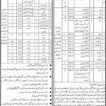 District Health Officer (Tharparkar/Matiari) Jobs 2019 for 300+ Support Staff Posts