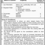 University of Punjab Jobs 2019 for 7+ Lab, Support & Security Staff