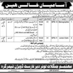 Forest Department KP Jobs 2019 for Jr Clerk and Stenographer
