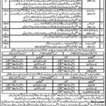 Elementary & Secondary Education Department KP (Peshawar) Jobs 2019 for Teachers, CT, DM, AT, TT, IT and Other Posts