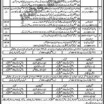 Elementary & Secondary Education Department KP (Mohmand) Jobs 2019 for Teachers, CT, DM, AT, TT, IT and Other Posts