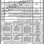 Elementary & Secondary Education Department KP (Kohat) Jobs 2019 for Teachers, CT, DM, AT, TT, IT and Other Posts