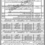 Elementary & Secondary Education Department KP (Jandola) Jobs 2019 for Teachers, CT, DM, AT, TT, IT and Other Posts