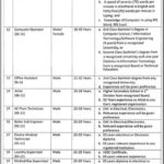 Bannu Medical Teaching Institution Jobs 2019 for Admin, Accounts, IT, Medical, Technical & Support Staff