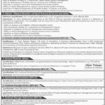 IBA Sukkur Jobs 2019 for 8+ Posts (Multiple Categories)
