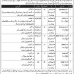 Pak Army Jobs 2019 for 15+ Assistants, UDC Clerk, Store Man and Other Staff at COD Rawalpindi