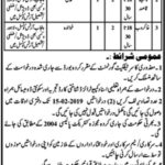 Punjab Arts Council (PAC) Jobs 2019 for 5+ Jr Clerk and Support Staff