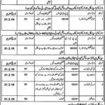 Punjab Employees Social Security Institution (PESSI) Jobs 2019 for 22+ Junior Technicians & Support Staff