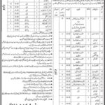 District Health Officer (Dadu) Jobs 2019 for 100+ Posts (BPS 1-5) (Multiple Categories)