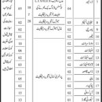 District Health Officer Tando Muhammad Khan Jobs 2019 for 100+ Posts (BPS 1-5) (Multiple Categories)