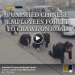 Punished Chinese employees forced to crawl on road