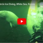 Diving in White Sea. Russia