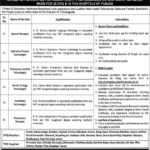 PS Healthcare Department Punjab Jobs 2019 for 100+ Medical Staff in All DHQ/THQ Hospitals