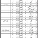 Badin District Health Office Jobs 2019 for 200+ Posts (Multiple Categories)