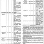 Job In Muhammad Nawaz Sharif University Of Agriculture 14 Jan 2019