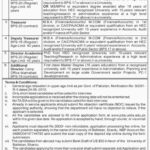 University of Baltistan Skardu Jobs 2019 for Treasurer, Registrar, Controller Examination & Management Posts