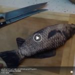 Easy way to clean fish