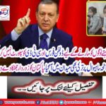 Turkey also came to the field on Sahiwal, Pakistan gave a strong shock