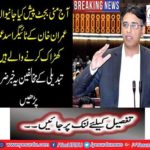 Imran Khan's Tiger Asad Umar is about to kick off today