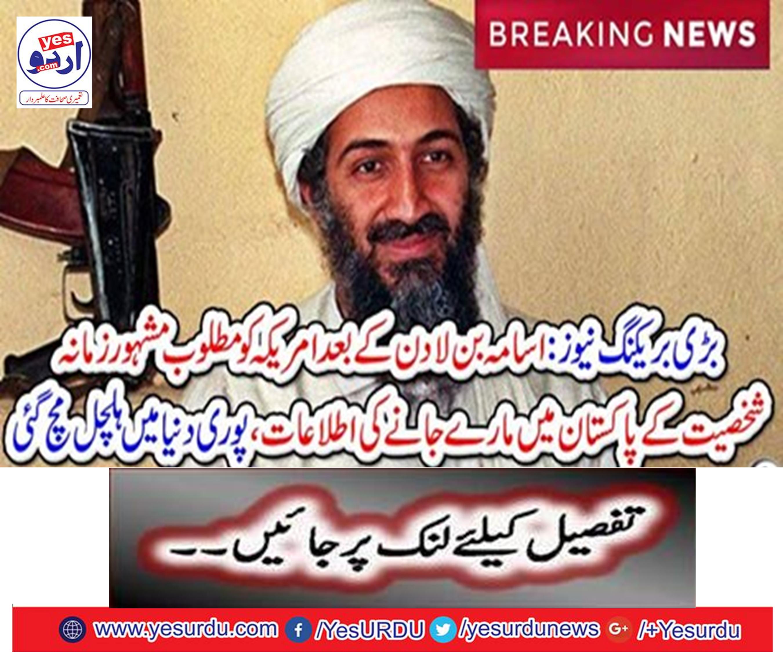 After Osama bin Laden reports the US wanted to be killed in Pakistan's celebrity personality