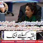Pakistan declared such an issue in the United Nations that the whole world, including India and Israel, kept watching