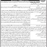 Sindh Finance Department Jobs 2019 for IT Staff Posts