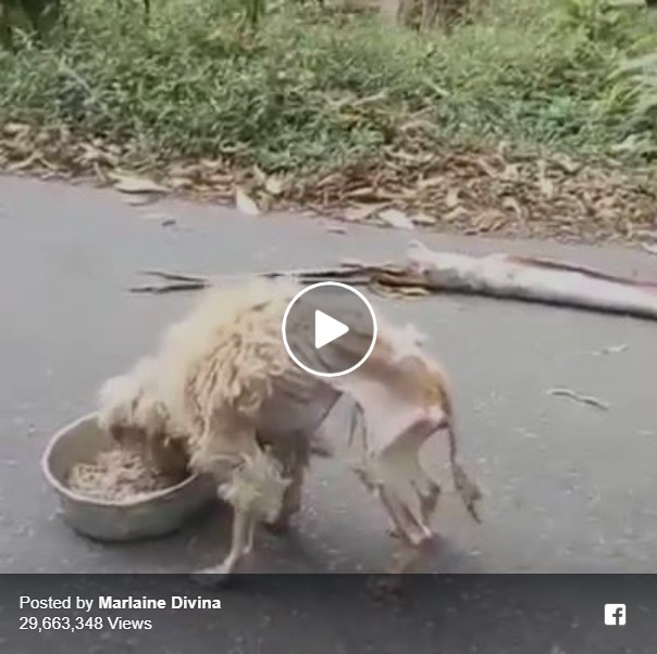 محبت تمام زخموں کو بھر دیتا ہے !!!!
