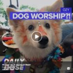 Dog worship???