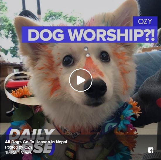Dog worship???