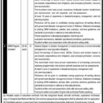 PO Box 305 KP Jobs 2019 for DRM Program Assistant and Specialist Posts