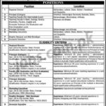 Informatics Groups of Colleges Jobs 2019 for 100+ Teaching & Non-Teaching Staff (Multiple Categories)