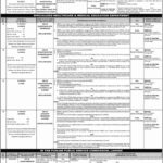 PPSC Jobs 2019 (2/2019): 253+ Education Teachers, Medical & Computer Operator Posts in Punjab Government