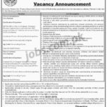 Sindh Finance Department Jobs 2019 for IT Staff Posts