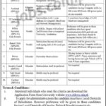 SBK Women’s University Jobs 2019 for IT, Admin, Finance, Management, Teaching & Other Posts