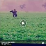 You may have never seen a video like this before