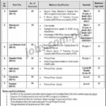 Pakistan Halal Authority (PHA) Jobs 2019 for 31+ Assistants, Stenotypists, LDC Clerk, Naib Qasid & Support Staff (Download CTS Form)