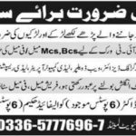 Taseer Pharma Islamabad Jobs 2019 for Social Medial, IT, Graphic Designer, Web Developer and Office Staff
