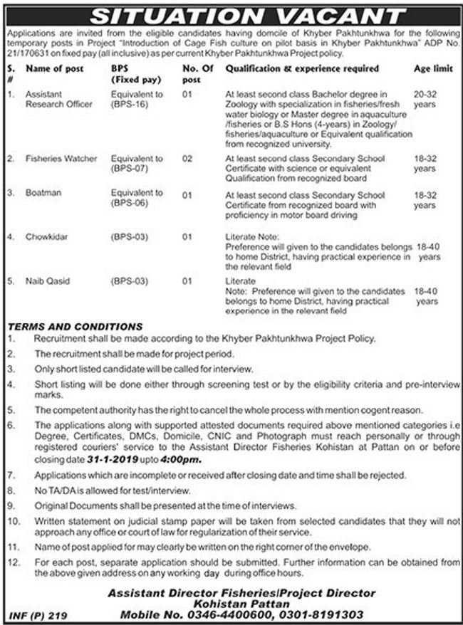 KP Fisheries Department Jobs 2019 for 6+ Asst Research Officer, Fisheries Watcher, Boatman & Support Staff