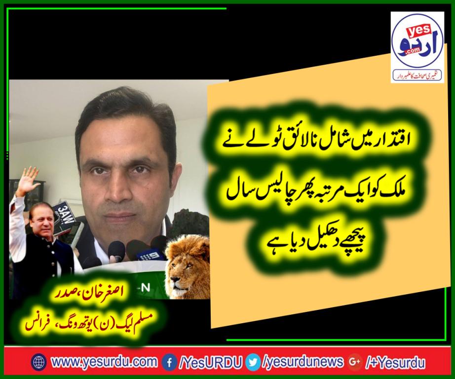 Asghar khan, president, pmln, youth wing, france