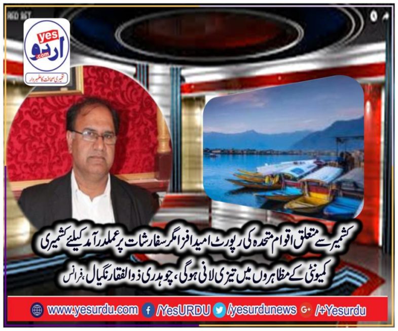 Ch zulfiqar nagial, kashmiri, leader, France