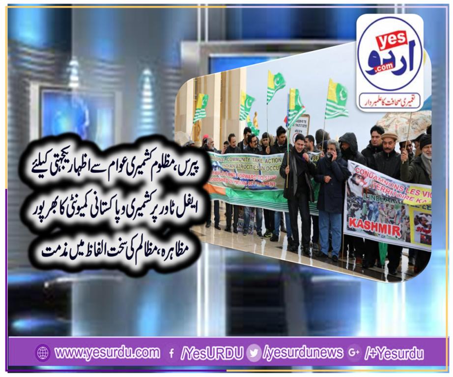 paris, protest, against, indian, brutality, in, Kashmir, at, Eiffel, tower, France