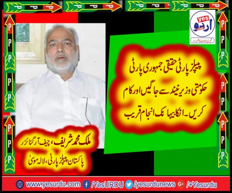 MALIK MUHAMMAD SHARIEF, chief executive, ppp, lalamusa