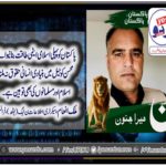 Mallik Inam, secretary information, pmln, youth wing, france